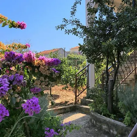 Arbanija 1125a تروغير