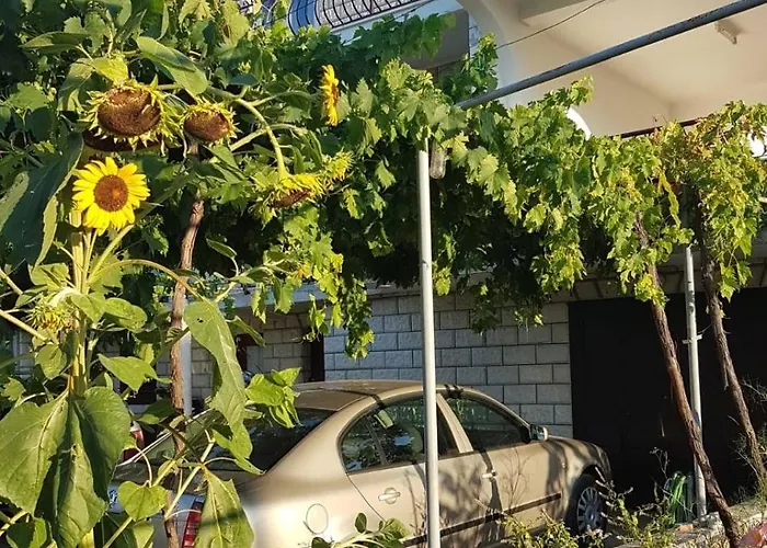 Appartement Arbanija 1125a