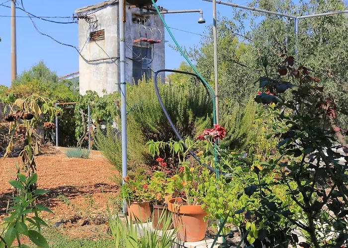 Arbanija 1125a Appartement Trogir