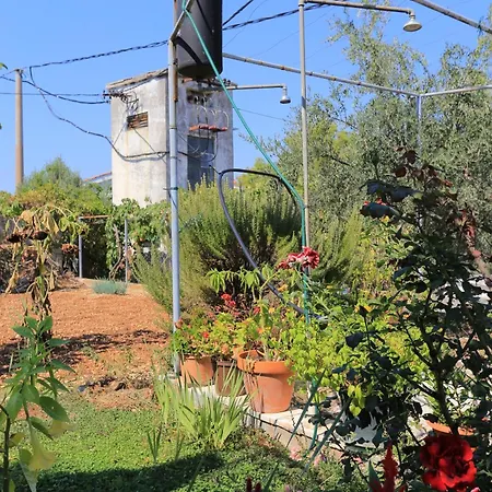 Arbanija 1125a Apartman Trogir